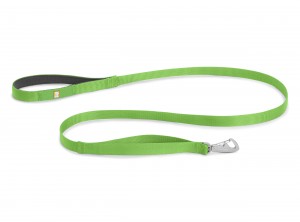 green leash